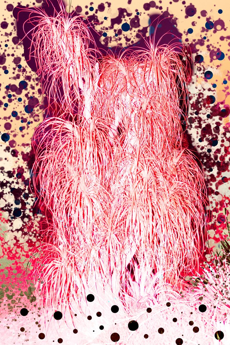 © yunhua zhang - Flamingo