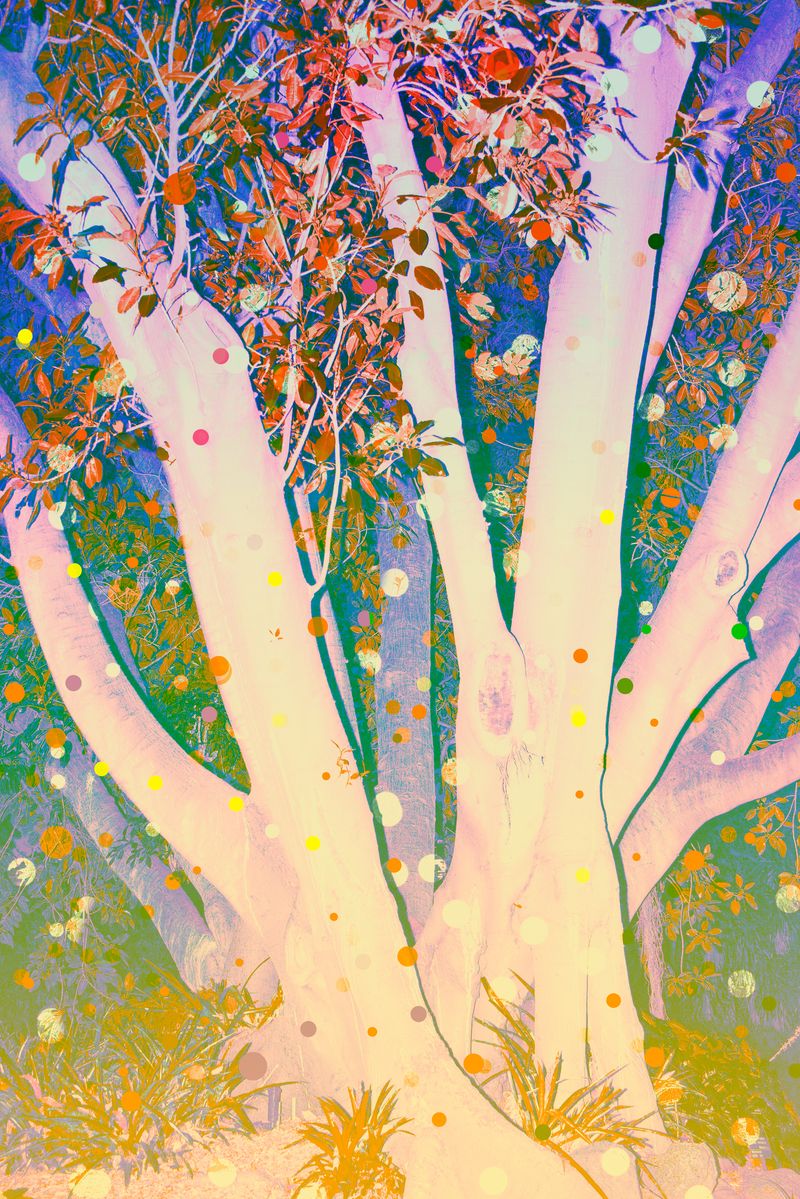 © yunhua zhang - Untitled