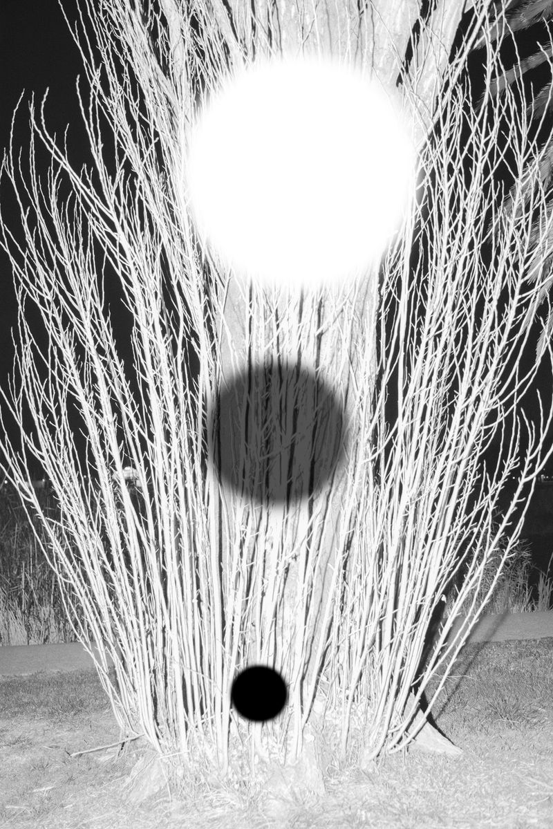 © yunhua zhang - Feather