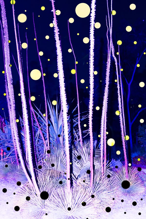 © yunhua zhang - Glowworms