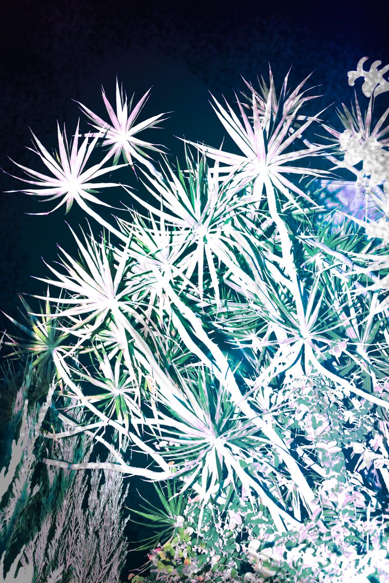 © yunhua zhang - Untitled