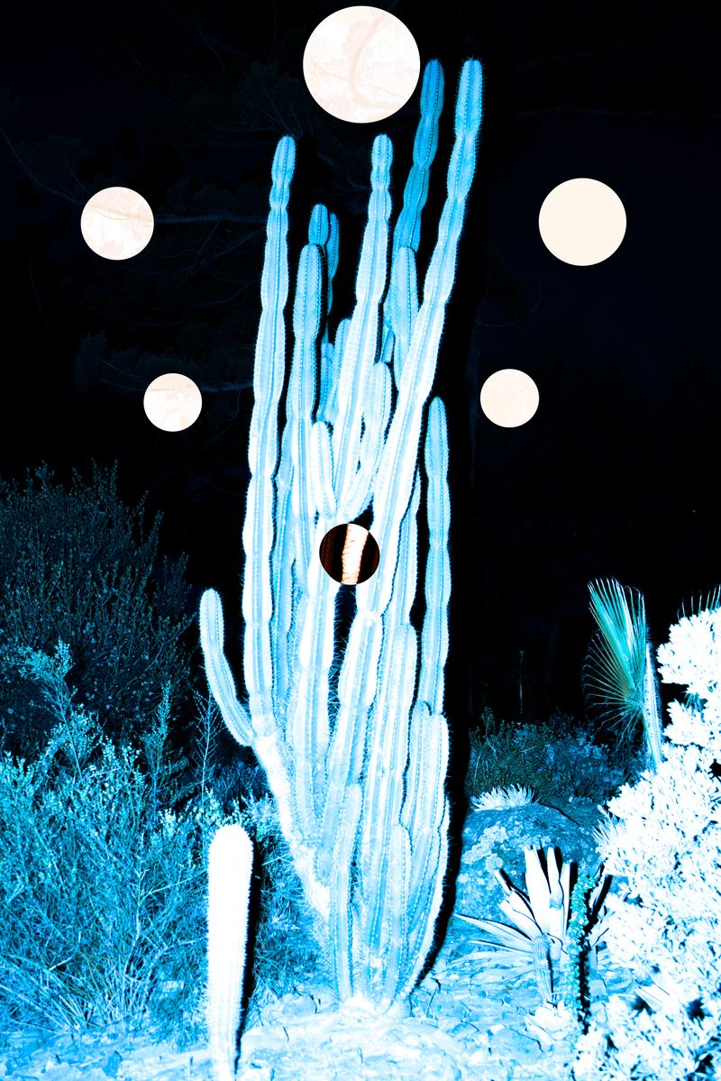 © yunhua zhang - Six