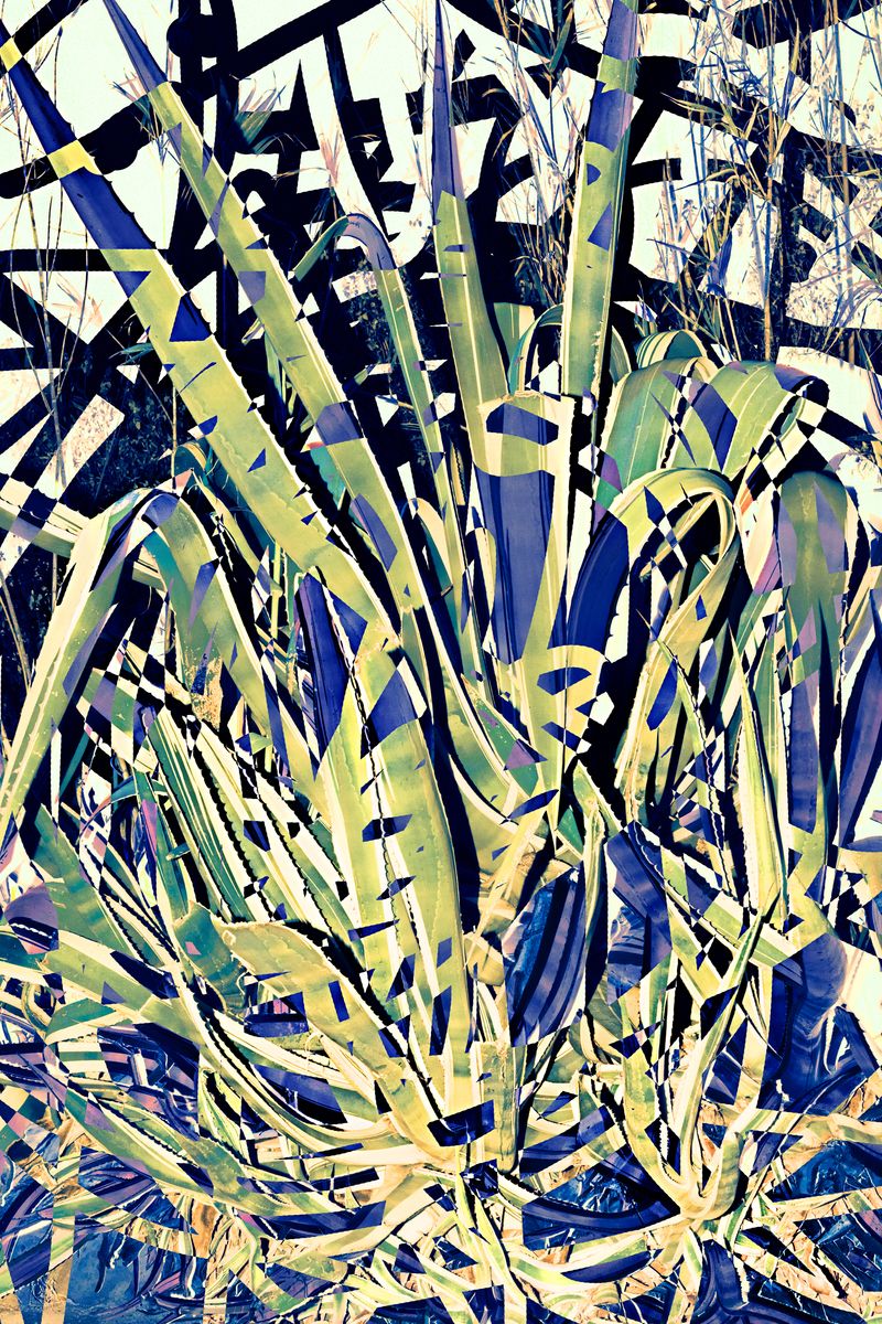 © yunhua zhang - Scales