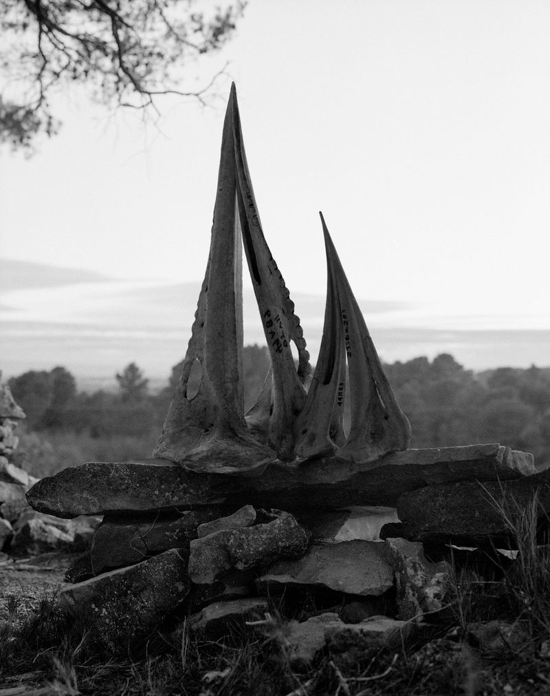 © Nikolai Frerichs - Image from the Ruins and other Ruins like these photography project