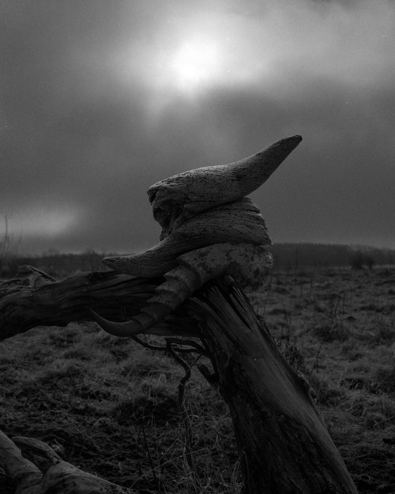 © Nikolai Frerichs - Image from the Ruins and other Ruins like these photography project