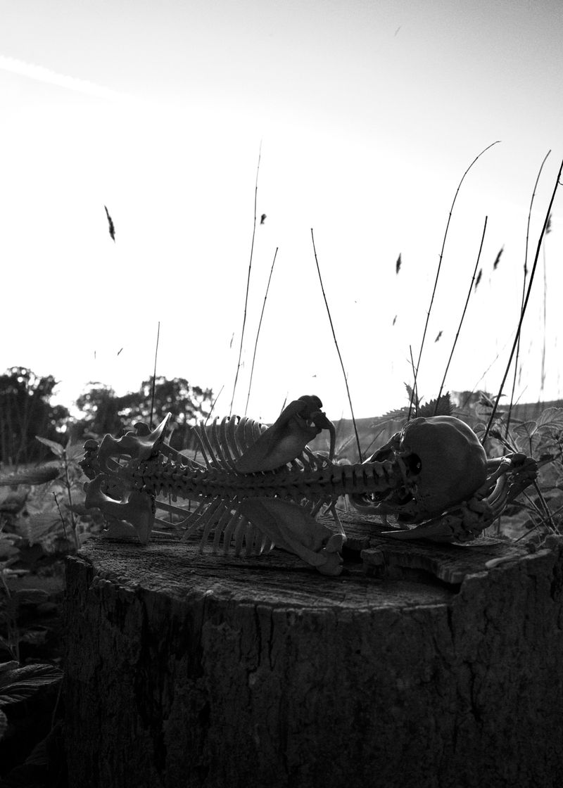 © Nikolai Frerichs - Image from the Ruins and other Ruins like these photography project