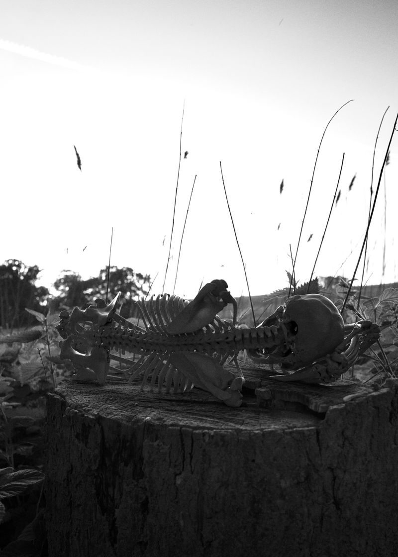 © Nikolai Frerichs - Image from the Ruins and other Ruins like these photography project