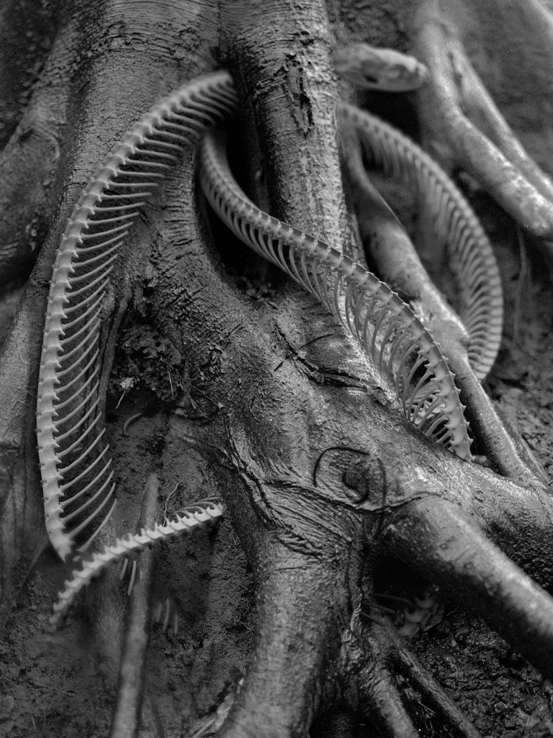 © Nikolai Frerichs - Image from the Ruins and other Ruins like these photography project