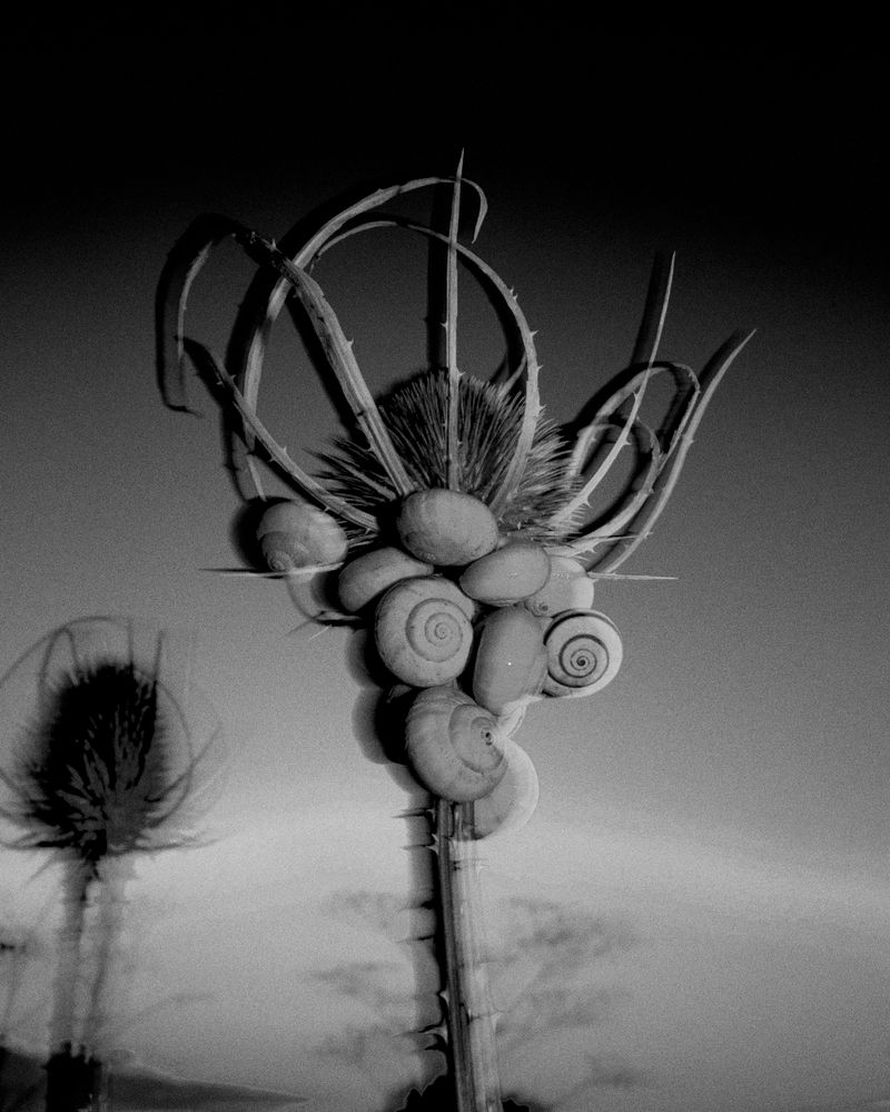 © Nikolai Frerichs - Image from the Ruins and other Ruins like these photography project