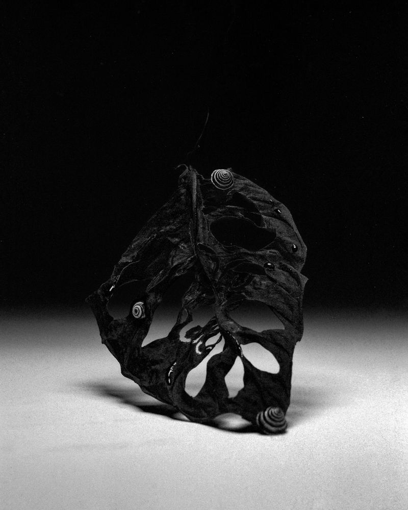 © Nikolai Frerichs - Image from the Ruins and other Ruins like these photography project