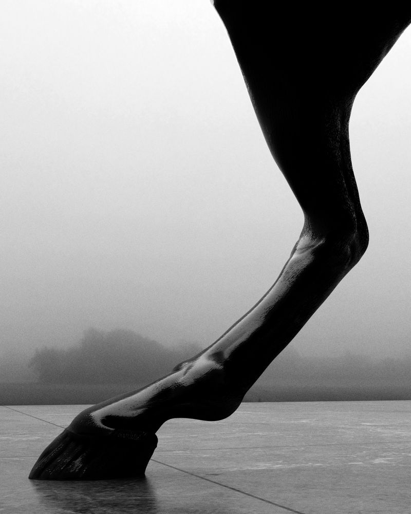 © Nikolai Frerichs - Image from the Ruins and other Ruins like these photography project