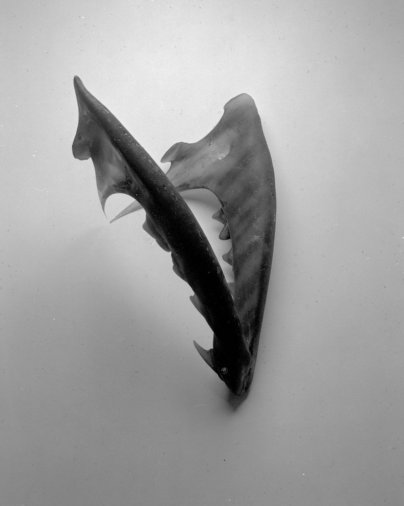 © Nikolai Frerichs - Image from the Ruins and other Ruins like these photography project