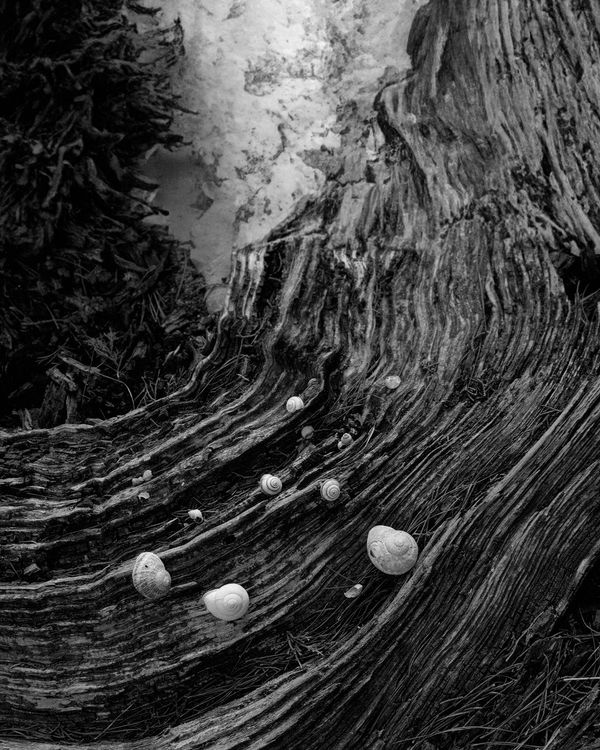 © Nikolai Frerichs - Image from the Ruins and other Ruins like these photography project