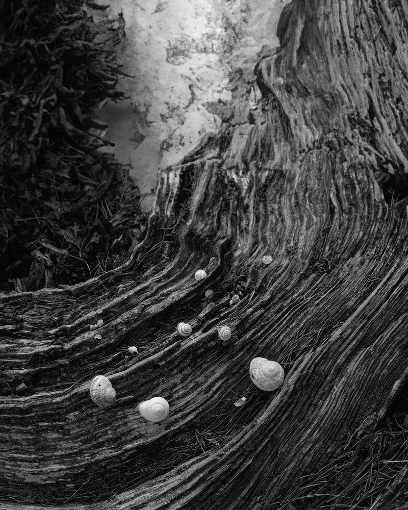 © Nikolai Frerichs - Image from the Ruins and other Ruins like these photography project