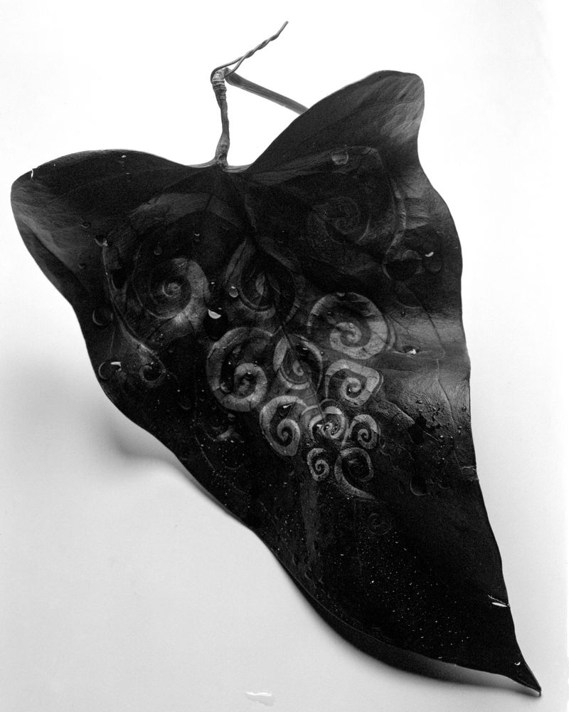 © Nikolai Frerichs - Image from the Ruins and other Ruins like these photography project