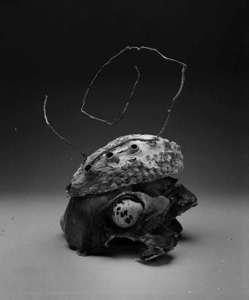 © Nikolai Frerichs - Image from the Ruins and other Ruins like these photography project