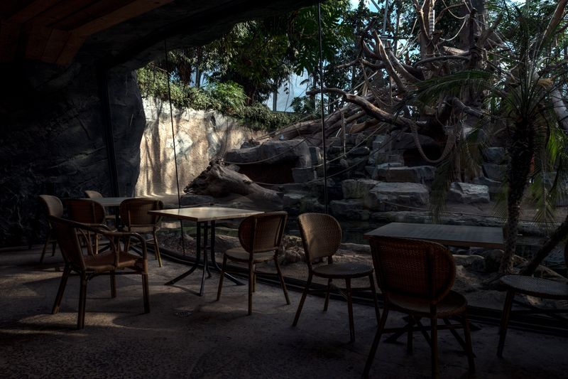 © Nikolai Frerichs - scene from a zoo