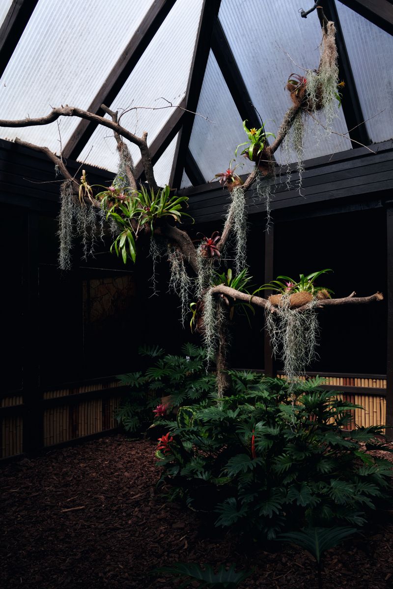 © Nikolai Frerichs - scene from a bird park