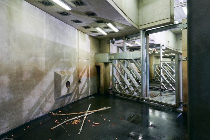 © Nikolai Frerichs - scene from a elephant