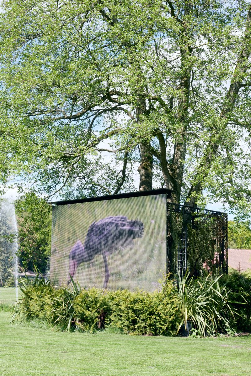 © Nikolai Frerichs - scene from a bird park