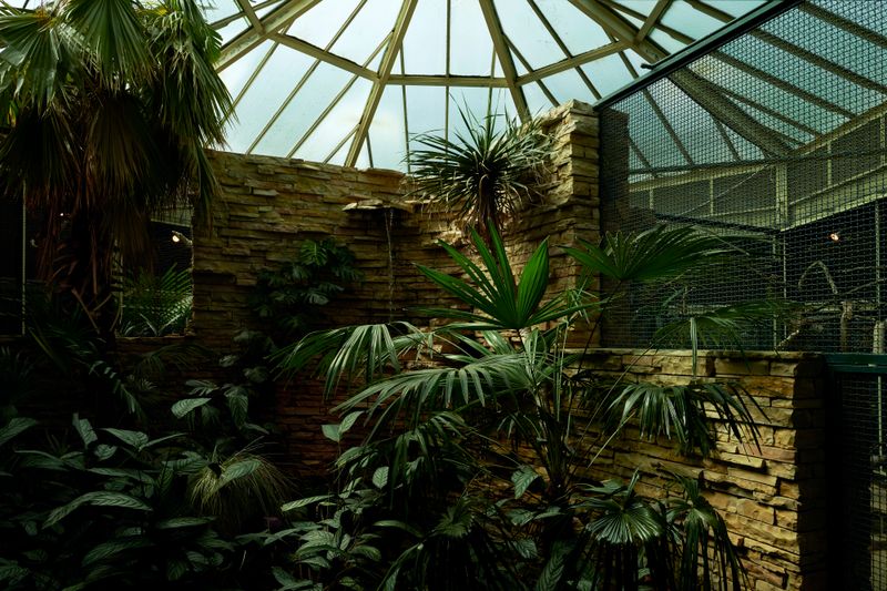 © Nikolai Frerichs - scene from a bird park