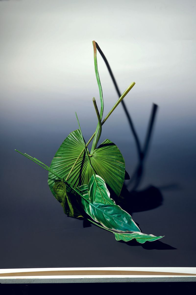 © Nikolai Frerichs - still-life with plastic leafs