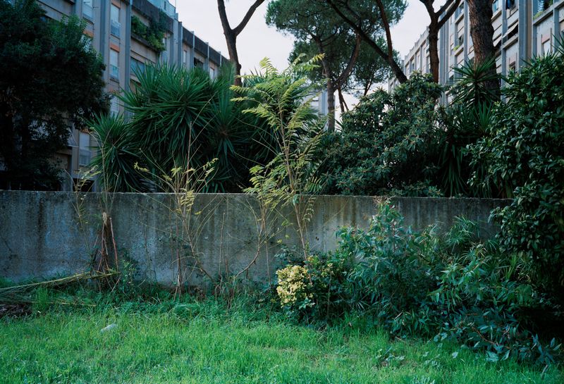 © Marco Waldis - Local buildings with a wall