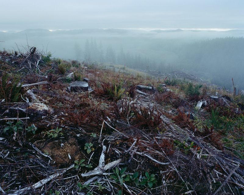 © Marco Waldis - A misty sunrise.