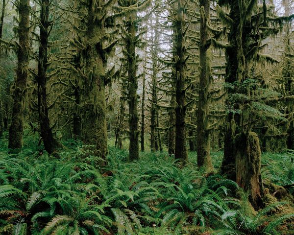 © Marco Waldis - Image from the Where the West Ends photography project