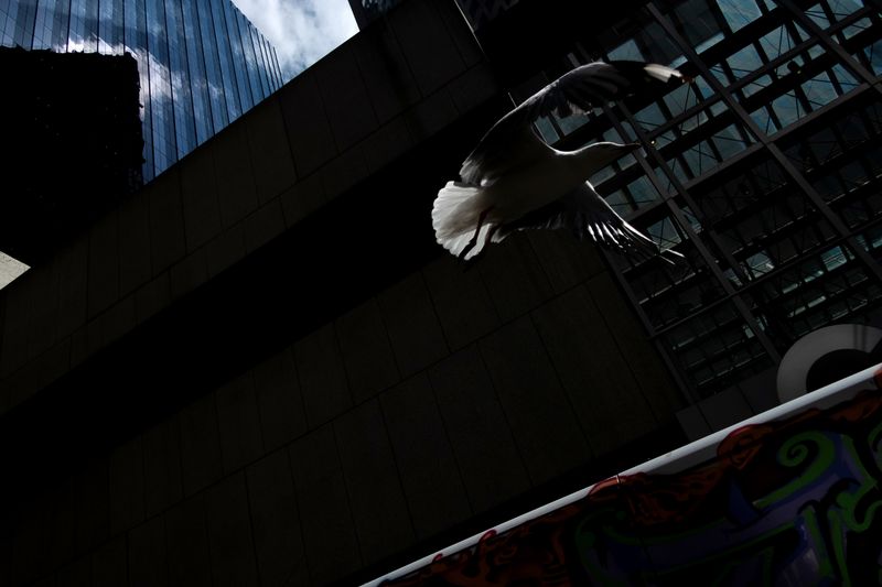 © Finn Goldstraw - Image from the Sunspot photography project