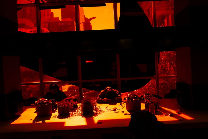 © Finn Goldstraw - Image from the Sunspot photography project