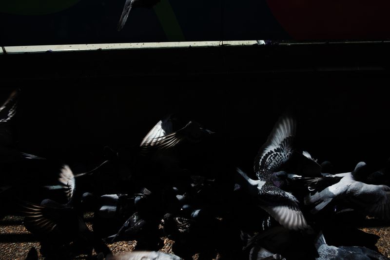 © Finn Goldstraw - Image from the Sunspot photography project