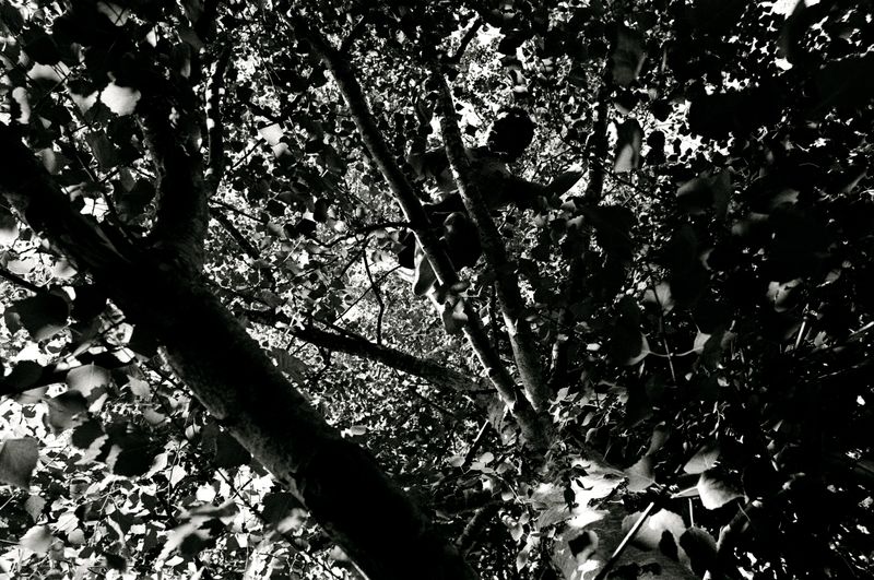 © Finn Goldstraw - Image from the Living Daylight photography project