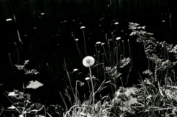 © Finn Goldstraw - Image from the Living Daylight photography project