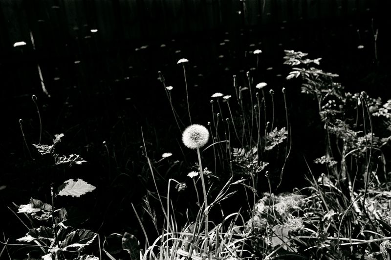 © Finn Goldstraw - Image from the Living Daylight photography project