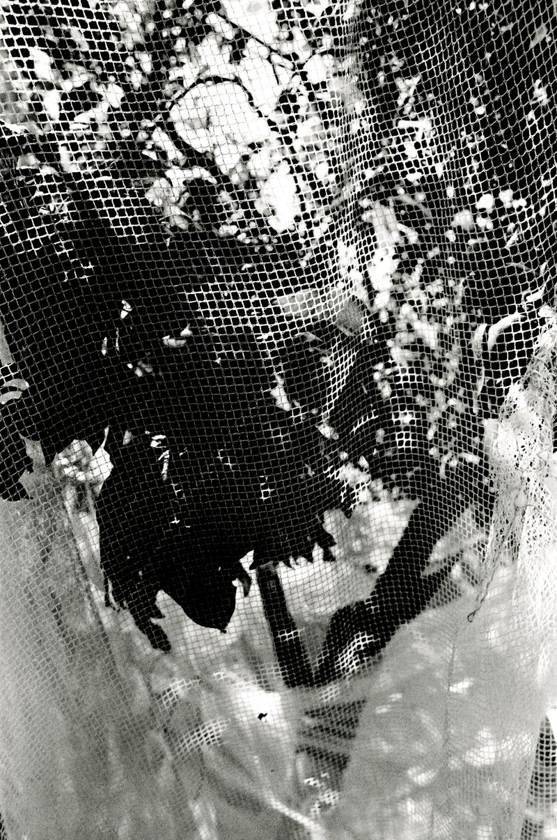 © Finn Goldstraw - Image from the Living Daylight photography project