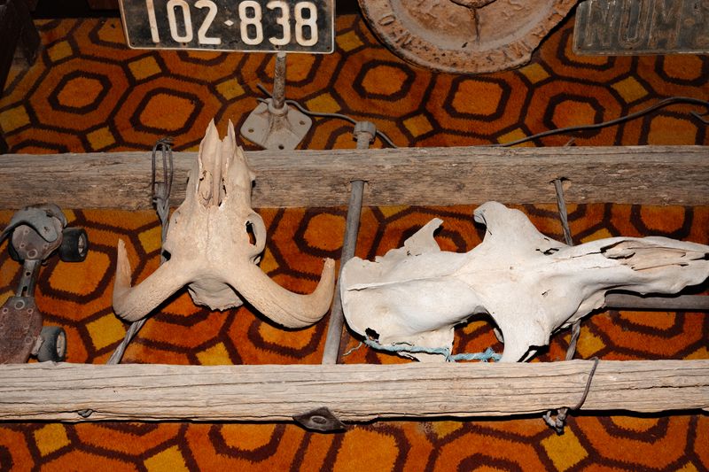 © Finn Goldstraw - Image from the Nullarbor photography project