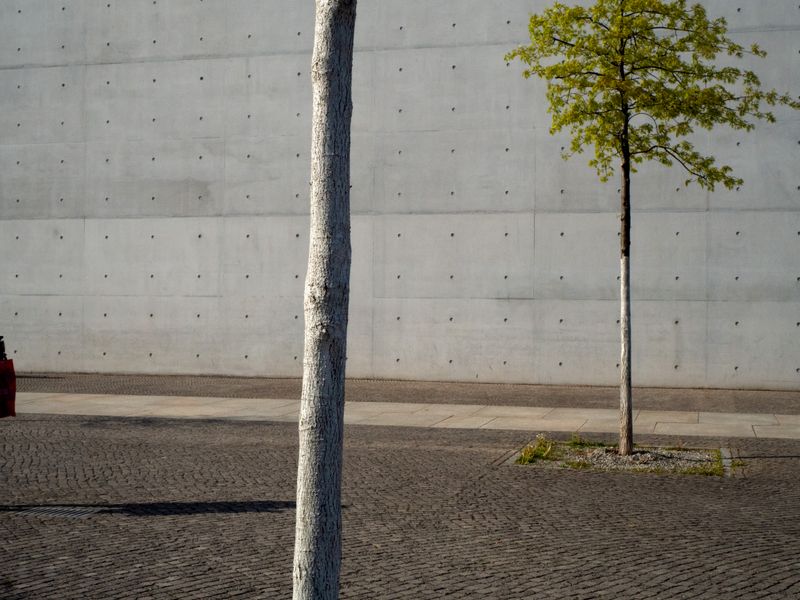 © Finn Goldstraw - Image from the Fernverkehr photography project