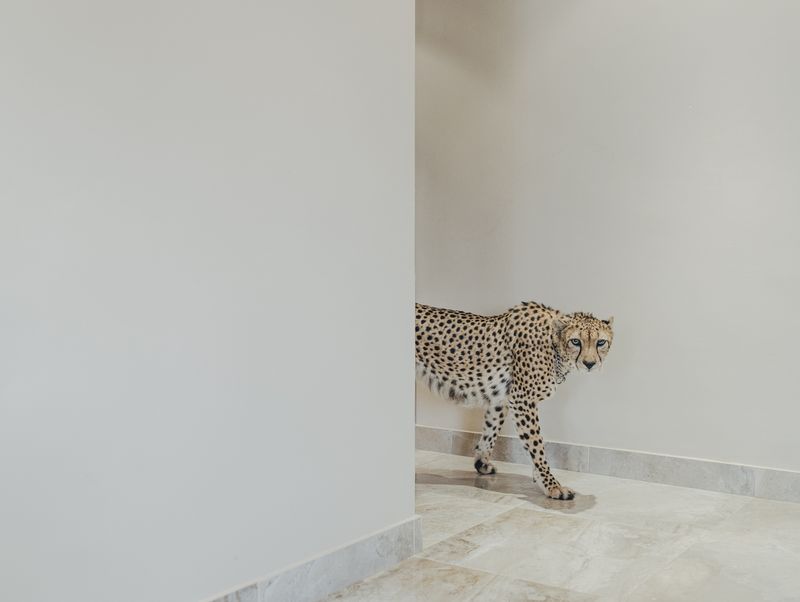 © Gabriele Cecconi - Image from the TiàWùK (Kuwait at reverse) photography project