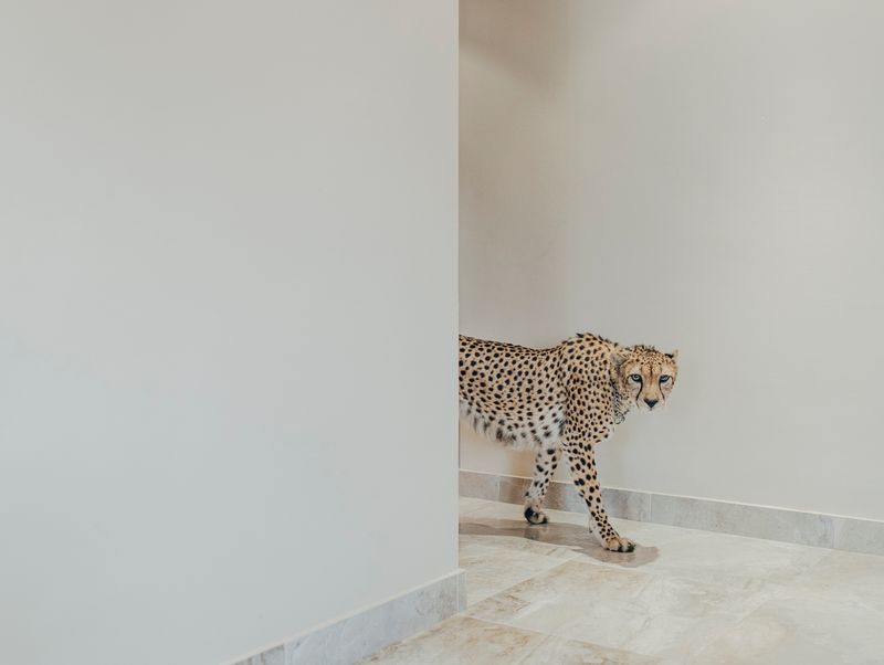 © Gabriele Cecconi - Image from the TiàWùK (Kuwait at reverse) photography project