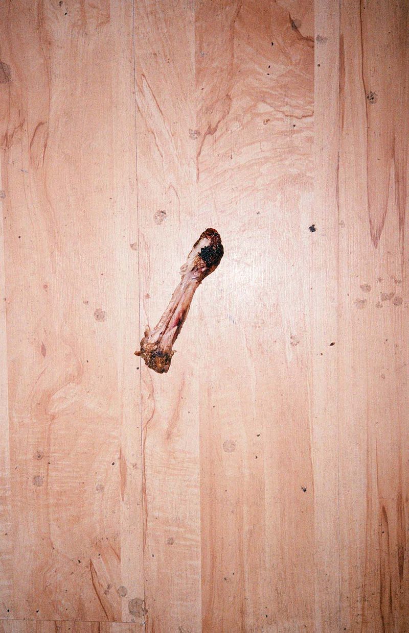 © Sofia  Ayarzagoitia - Image from the Every night temo ser la dinner photography project