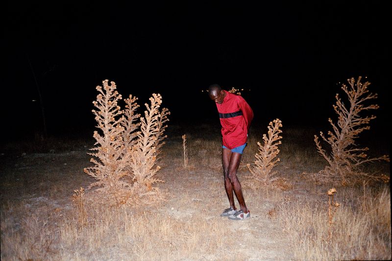 © Sofia  Ayarzagoitia - Babu