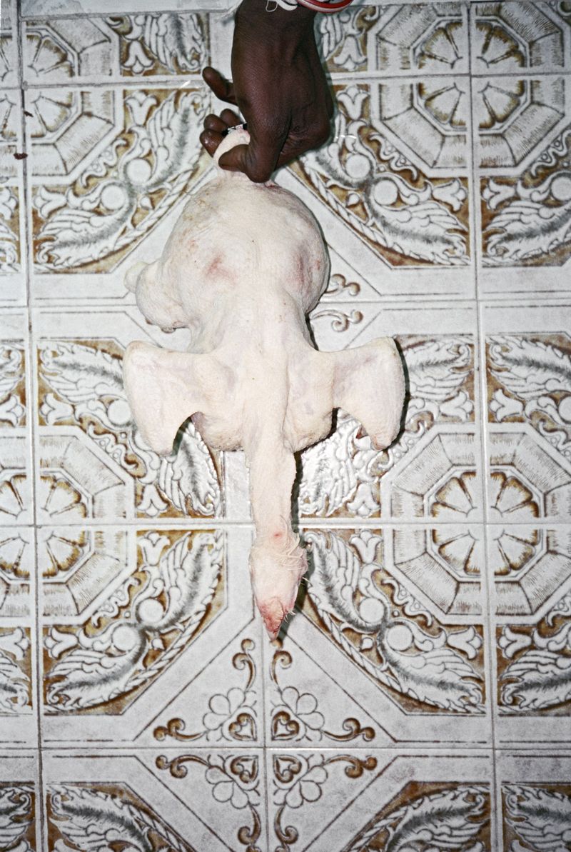 © Sofia  Ayarzagoitia - El Chicken Laberynth