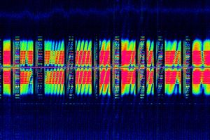 Shadows of the State