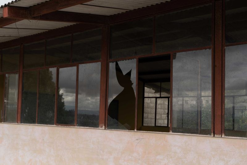 © Yinna Higuera - the right to quality education has been violated in its own territory.