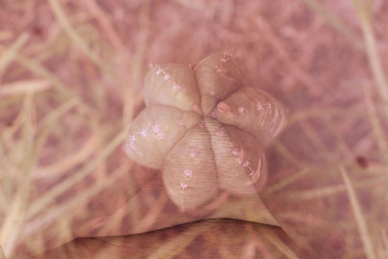 © Yinna Higuera - Image from the Roots and Skin photography project