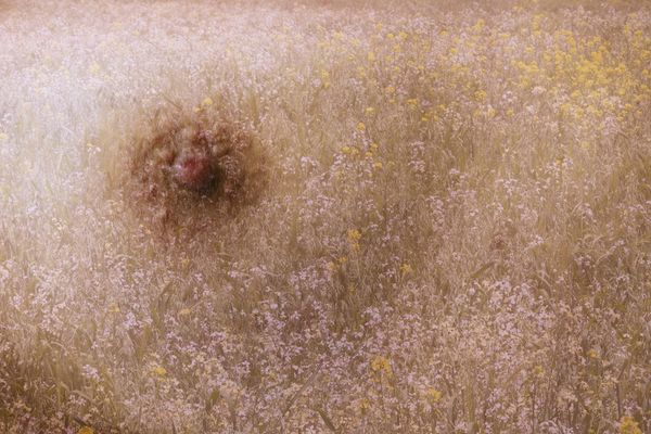 © Yinna Higuera - Image from the Roots and Skin photography project