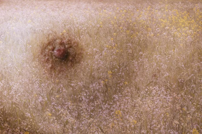 © Yinna Higuera - Image from the Roots and Skin photography project