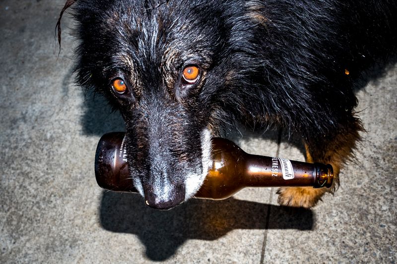 © Ogulcan Arslan - Image from the All The Rivers Flow Into The Nuthouse photography project