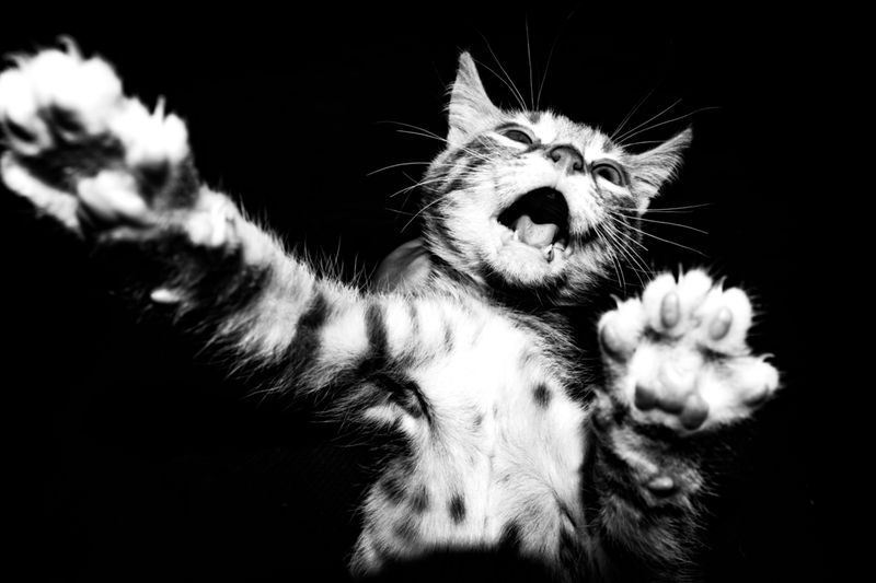 © Ogulcan Arslan - Image from the All The Rivers Flow Into The Nuthouse photography project